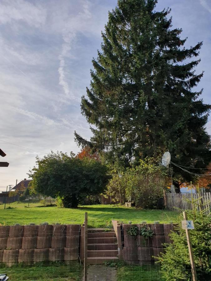 Nationalpark Ferienhaus Sophia-Luisa Borfink Zewnętrze zdjęcie
