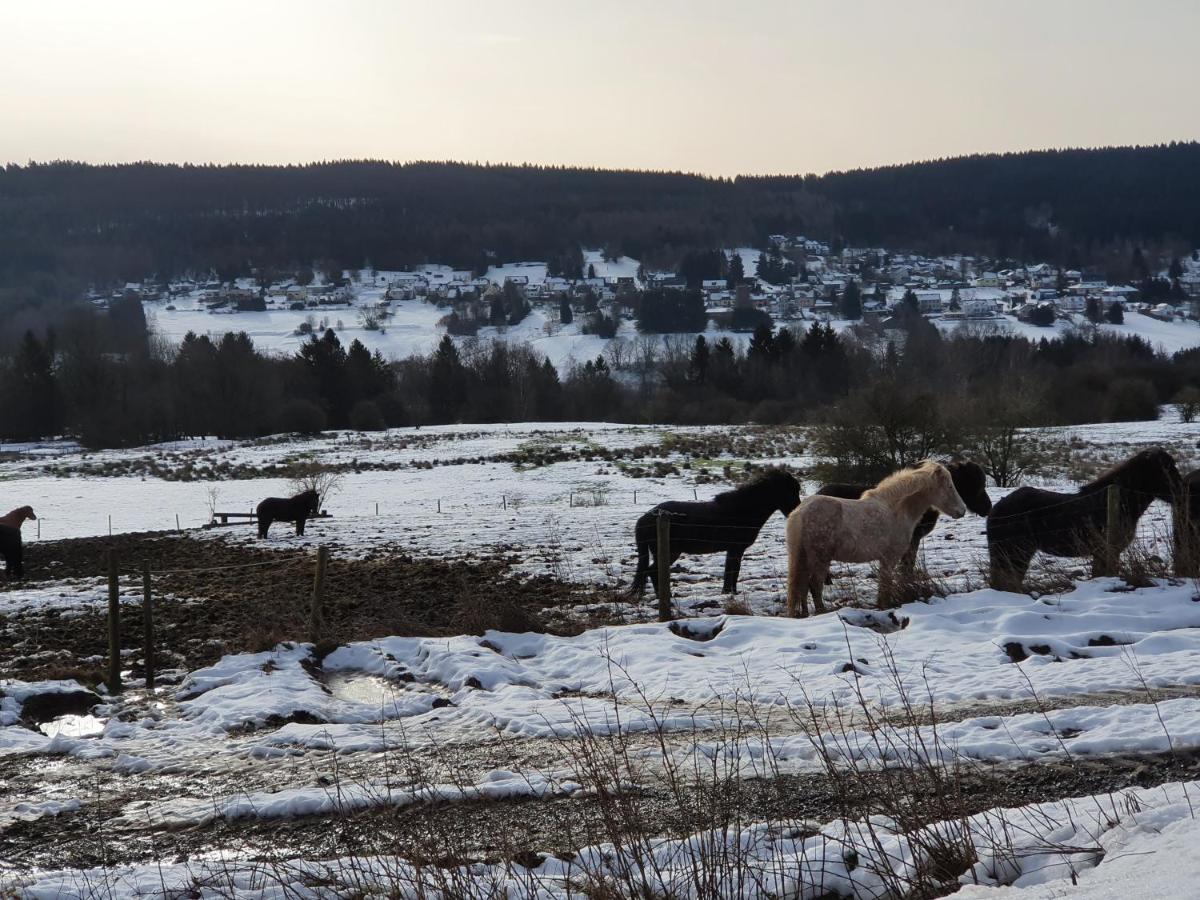 Nationalpark Ferienhaus Sophia-Luisa Borfink Zewnętrze zdjęcie